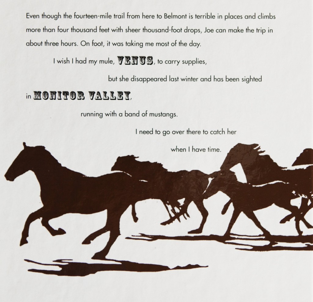 Cropped back-cover Death After Life Tales of Nevada by William Douglass Cover published by Black Rock Institute